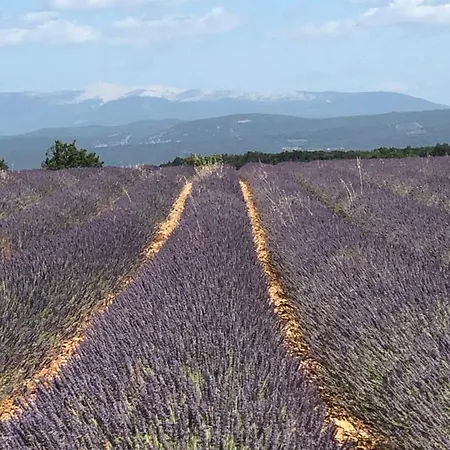 Location Provence *